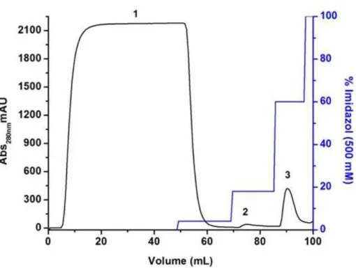 Figura  15.  Cromatograma  de  afinidade  por  níquel  ilustrando  a  purificação  da  VapB11  com  6xHis- 6xHis-Tag