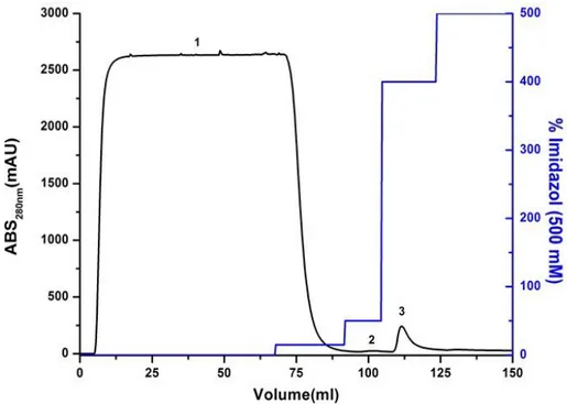 Figura  17.  Cromatograma  de  afinidade  por  níquel  ilustrando  a  purificação  da  VapB21  com  6xHis- 6xHis-Tag