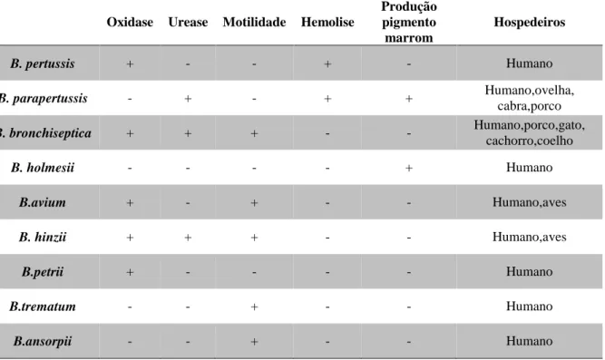 Tabela 1.Espécies de Bordetella.Características Bioquímicas e Hospedeiros. Adaptação de KILGORE  et al., 2016 e PITTET; POSFAY-BARBE, 2016 