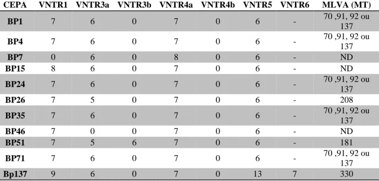 Tabela 6.Número de repetição de VNTRs e perfil MLVA (MT) de cepas de B.pertussis. ND:  