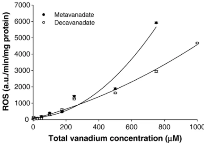 Fig. 5. In vitro effects of metavanadate and decavanadate solutions on the overall rate of reactive oxygen species (ROS) production (a.u./min/mg protein) in H