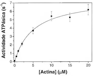 Figura II.5 - Actividade ATPásica do subfragmento-1 de miosina em função da concentração de  actina (dada como concentração dos monómeros de actina presentes no filamento de actina)