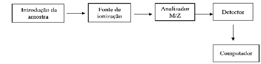 Figura 9 - Esquema simplificado de um espectrômetro de massa contendo seus principais componentes: fonte de  íons, analisador m/z, detector, sistema de vácuo e o computador