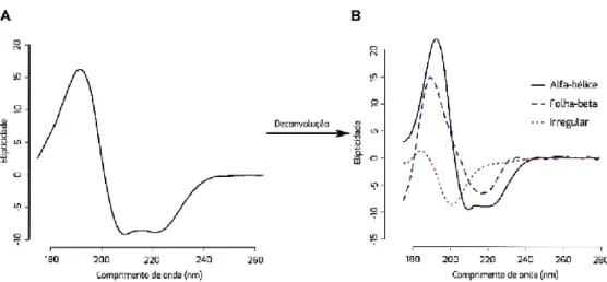Figura 11 - Esquema da deconvolução espectral da albumina sérica humana  [24]   