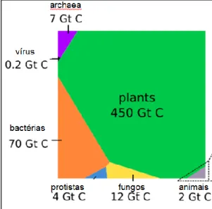 Figura  1.  Representação  gráfica  da  distribuição  global  de  biomassa  por  táxons