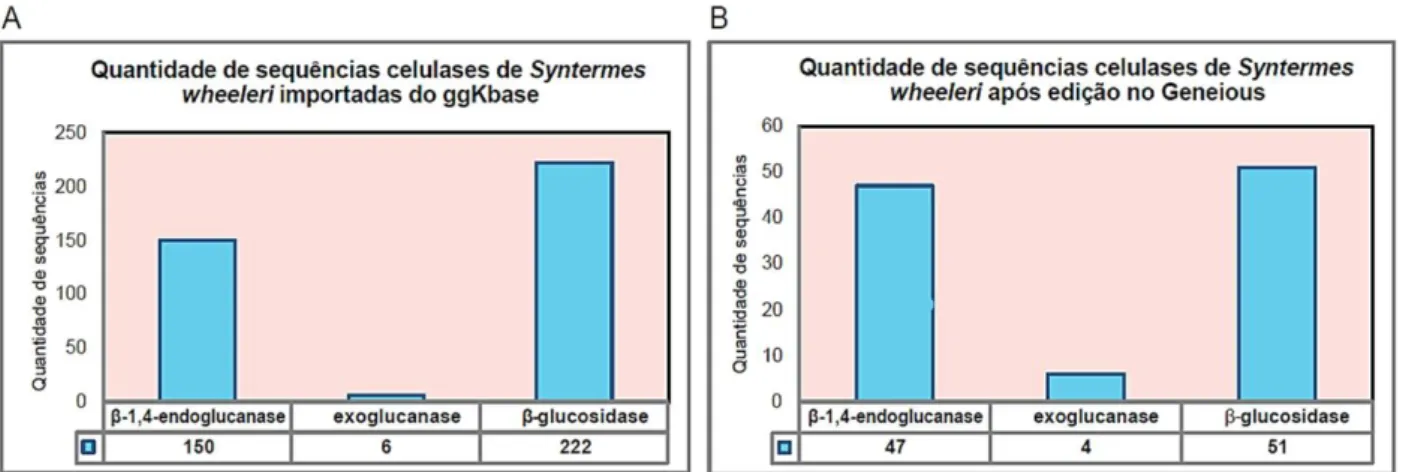 Figura  11.  Quantidade  de  sequências  celulases  antes  e  depois  das  edições.  (A)  Quantidade  total  importada do ggKbase; (B) Quantidade após edições no Geneious