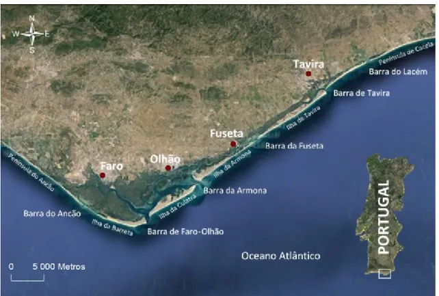 Figura 2.1- Representação do sistema lagunar da Ria Formosa, com as principais barras, ilhas-barreira  e os maiores centros urbanos