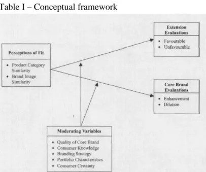 Table I – Conceptual framework  