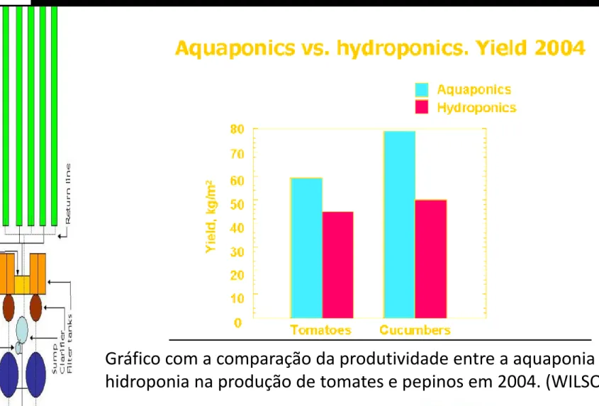 Gráfico com a comparação da produtividade entre a aquaponia e a 