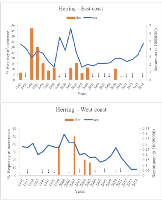 Figure 4.2- Annual occurrence of herring in diet and sea (recruitment), in Scotland 