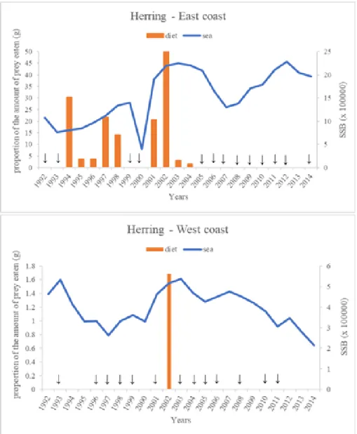 Figure 4.4- Annual occurrence of herring in diet and sea (SSB), in Scotland 