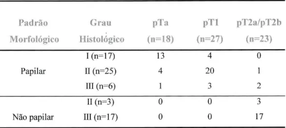 Tabela 2.3.1: Estádio, grau de diferenciação e morfologia dos carcinomas uroteliais da  bexiga estudados  Padrão  Morfológico  Grau  Histológico  pT i  (ii=18)  pTl  (n=27)  pT2a/pT2b ( ii=23)  Papilar  I(n=17)  II (n=25)  III (n=6)  13 4 1  4  20 3  0  1 