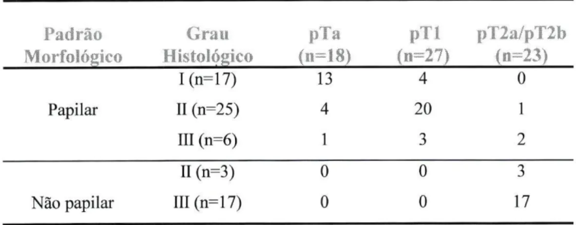 Tabela 3.3.1: Estádio, grau de diferenciação e morfologia dos carcinomas uroteliais da  bexiga estudados  Padrão  Morfológico  Grau  Histológico  (11=18)  p i l  (n=27)  pT2a/pT2b (n=23)  Papilar  I(n=17)  II (n=25)  III (n=6)  13 4 1  4  20 3  0  1 2  Não