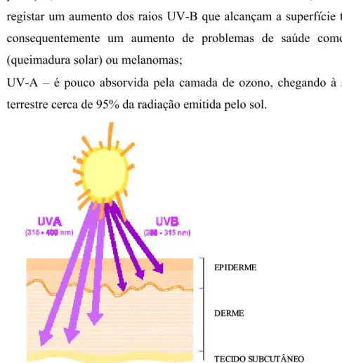 Figura 2 – Penetração da radiação UV na pele 