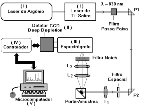 Figura 3 – Sistema de espectroscopia Raman. 