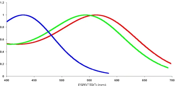 Figura 1. Representação da sensibilidade espectral de três classes de cone de um calitriquíneo  tricromata