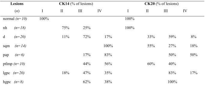 Table 2- Immunohistochemical staining patterns for CKs 14 and 20 in BBN-induced rat  bladder lesions