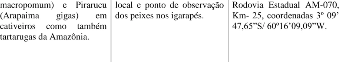 Figura 2 Fotos representativas dos locais de pisciculturas em igarapés. Autoria própria