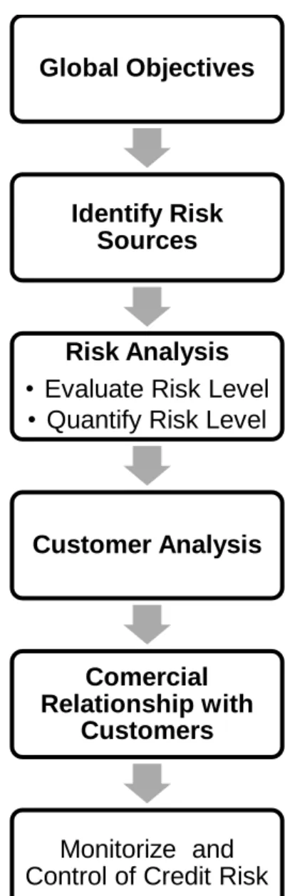 Figure 3 - Credit Risk Management Process   Source: Adapted from Carvalho (2009) 