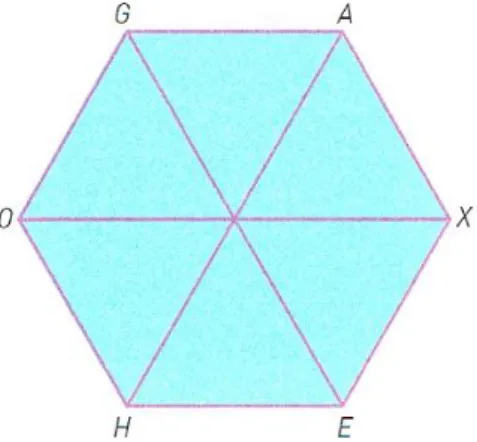 Figura 5: Hexágono regular [HEXAGO]. 