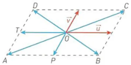 Figura 6: Paralelogramo [ABCD]. 