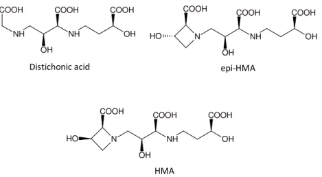 Figure  1.10  Structures  of  some  phytossiderophores:  distichonic  acid,  3-epi- 3-epi-hydroxymugineic acid (epi-HMA) and 3-dydroxymugineic acid (HMA)