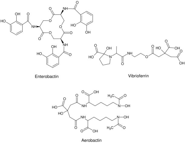 Figure  1.18  Structure  of  the  cathecol-based  siderophore  enterobactin  (hexadentate,  exocyclic),  the  α-hydroxycarboxilate-based  siderophore,  vibrioferrin,  and  the   mixed-ligand siderophore, aerobactin