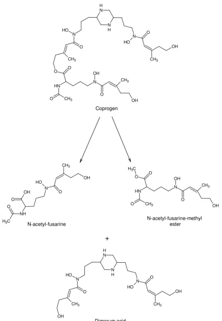 Figure  1.24  Structure  of  coprogen  and  monohydroxamate  and  dihydroxamate  products from hydrolysis