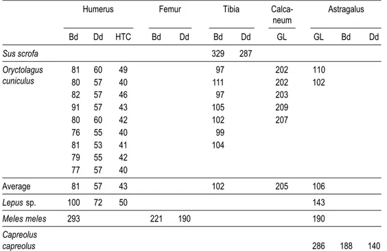 TABLE 6. Measurements of mammal skeletal parts.