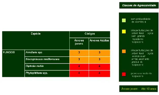 Figura  3.6  -  Classes  de  agressividades  para  os  principais  fungos  associados  ao  declínio  do  sobreiro  e  azinheira