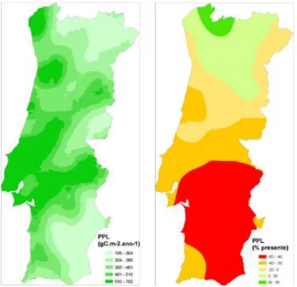 Figura 3.13a e 13b - Produtividade Primária Líquida (PPL) do Sobreiro em Portugal observada (esquerda)  e prevista para o ano de 2100 (direita) com o cenário intermédio A2