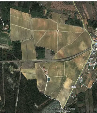 Figure 5 - „Quinta do Valdoeiro‟ vineyard (Vacariça, Mealhada). Aerial photo from Google maps