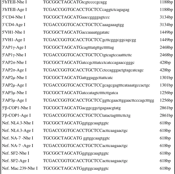 Tabela  3.1.  Sequências  de  primers  para  amplificação  de  proteínas  celulares  e  alelos  de  Nef