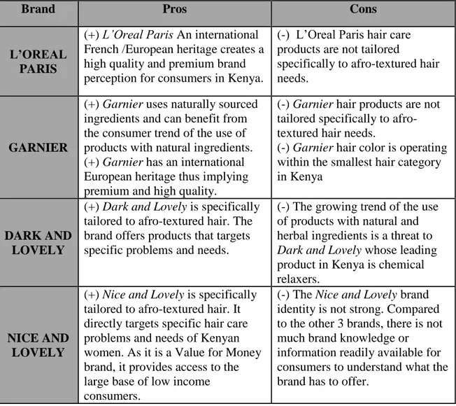 Table 4: Chapter 2 main insights for our research: The Pros and Cons of each brand 