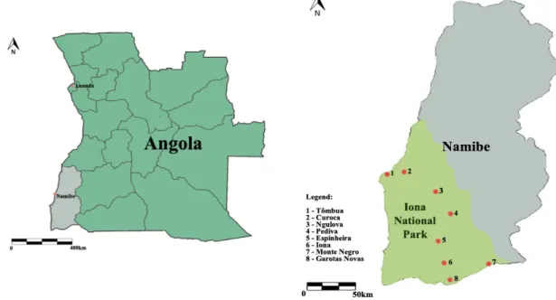 Figure 1. The study area includes seven villages—Curoca, Ngulova, Pediva, Espinheira, Iona, Monte  Negro, and Garotas Novas—that represent the diversity of human settlements existing in Iona  National Park, a protected area located in Namibe Province (sout