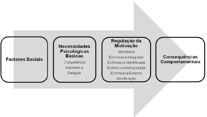 Figura 1 – Teoria da Auto-Determinação (retirado de Pires,Cid, Borrego, Alves, &amp; Silva, 2010) 