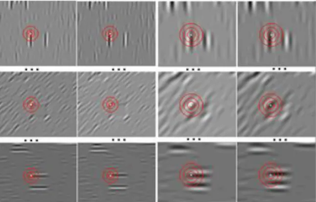 Figure  5  illustrates  responses  of  simple  cells  in  the  case of a black square in a noisy background