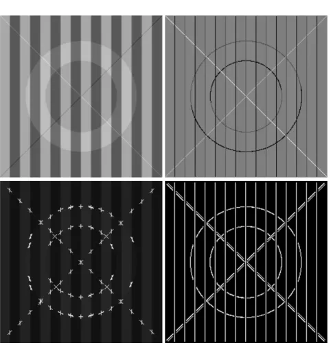 Fig. 2. Ledge image (top-left), line/edge detection (top-right), keypoints with vertex structure (bottom-left)