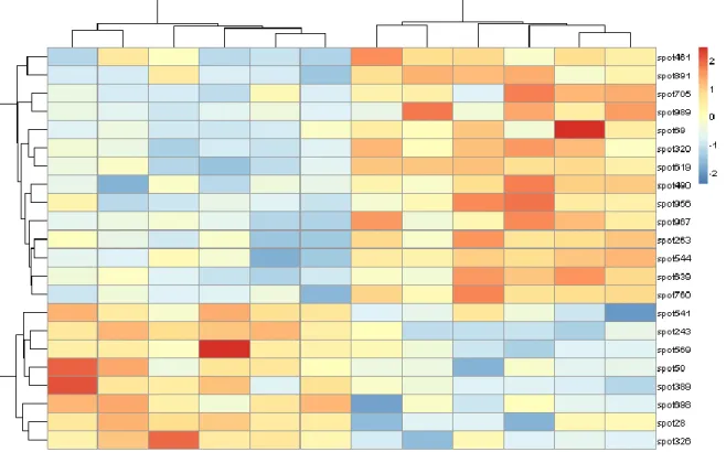 Fig.  8.  Heatmap  displaying  the  expression  of  the  22  most  relevant  proteins  using  color- color-coding (red for “high expression” and blue for “low expression”)