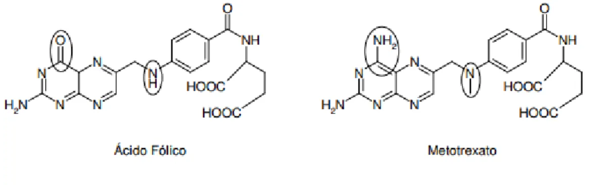 Figura 7 - Representação da estrutura do ácido fólico e metotrexato. Adaptado de (Rubino, 2001).