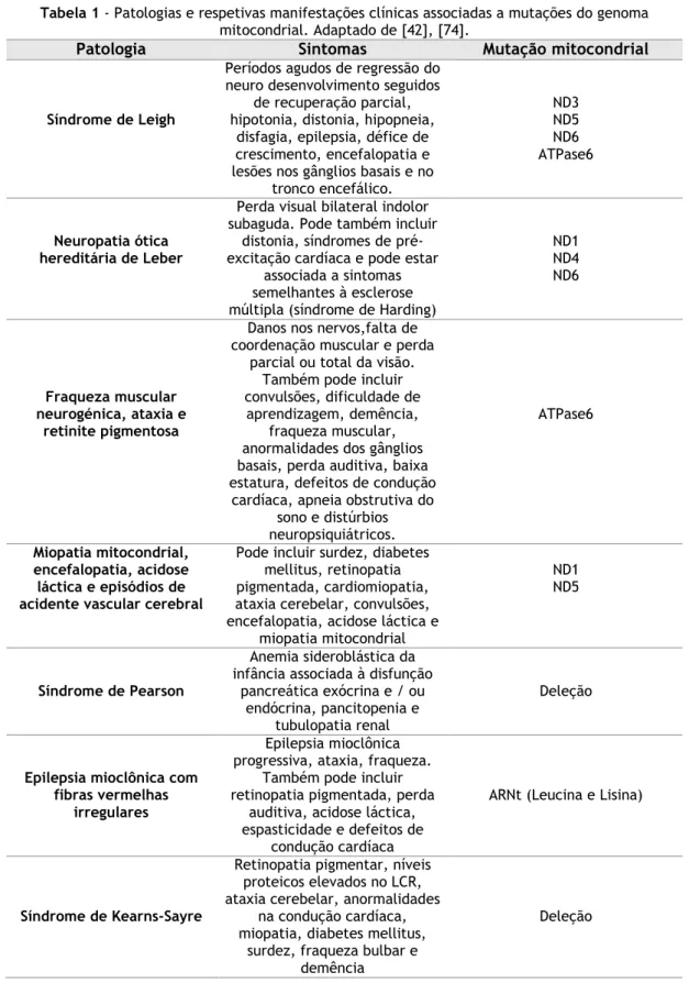 Tabela 1 - Patologias e respetivas manifestações clínicas associadas a mutações do genoma  mitocondrial