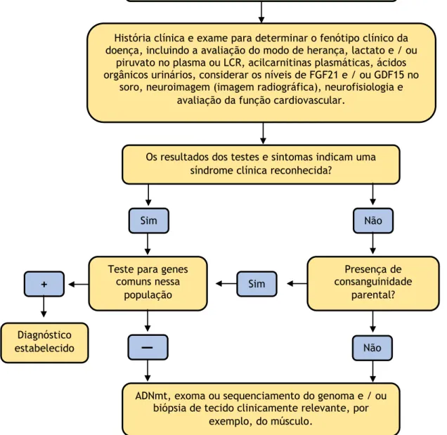 Figura 6 – Algoritmo de diagnóstico para suspeitas de doenças mitocondriais. O diagnóstico depende da  história do paciente, dos sintomas clínicos e dos exames laboratoriais e genéticos