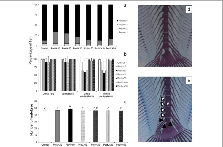 FIGURE 5 | Mineralization degree of different skeletal structures and mean number of vertebrae in 55 dph Senegalese sole larvae fed increased dietary vitamin A levels at different developmental stages