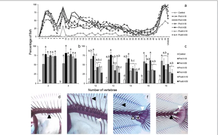 FIGURE 6 | Percentage of Senegalese sole juveniles with a deformity in axial skeleton at 55 dph when fed increased dietary vitamin A levels at different developmental stages