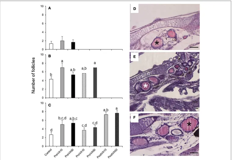 FIGURE 7 | Number of follicles of the thyroid gland (mean ± standard deviation) in Senegalese sole fed with experimental diets at 10 (A), 21 (B), and 55 (C) dph