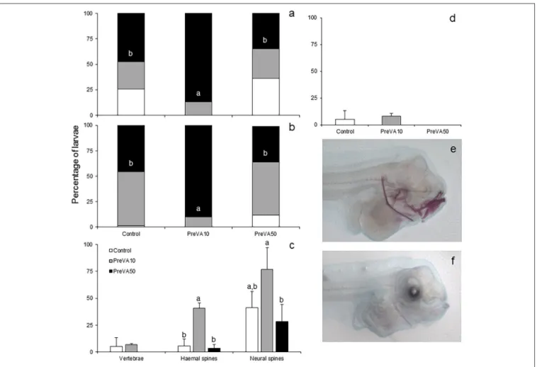 FIGURE 3 | Mineralization degree of different skeletal structures in 10 dph Senegalese sole larvae fed increased dietary vitamin A levels at different developmental stages