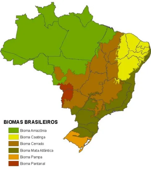 Figura 1.1 - Divisão do biomas brasileiros. Fonte: IBAMA/2010 (adaptado). Produção: Isabel  Castro -2010