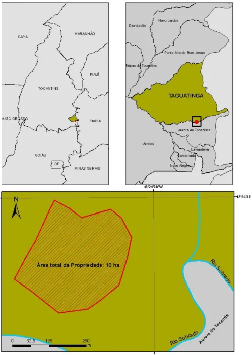 Figura 2.1 - Localização da área de estudo em relação ao município de Taguatinga e ao Estado  do Tocantins