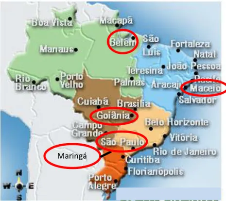 Figura  1-  Mapa  para  visualização  dos  municípios  brasileiros  que  compuseram  a  amostra  desta  pesquisa,  destacados  com  um  círculo  vermelho 