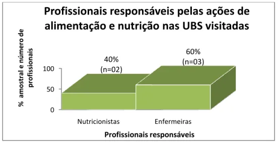 Gráfico  8  -  Profissionais  responsáveis  pelo  desenvolvimento  da  ações  de  alimentação  e  nutrição em cinco UBS de cinco municípios brasileiros de grande porte
